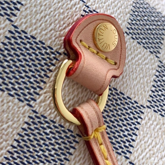 Neverfull Vuitton GM Louis 0304